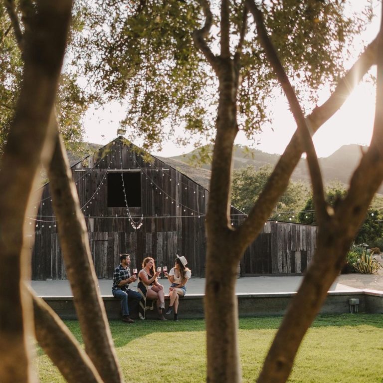 ca winery broken earth 768x768