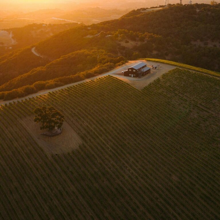 alta colina winery 01 768x768