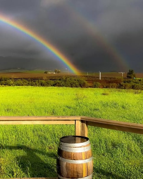 autry cellars artisan wines 01